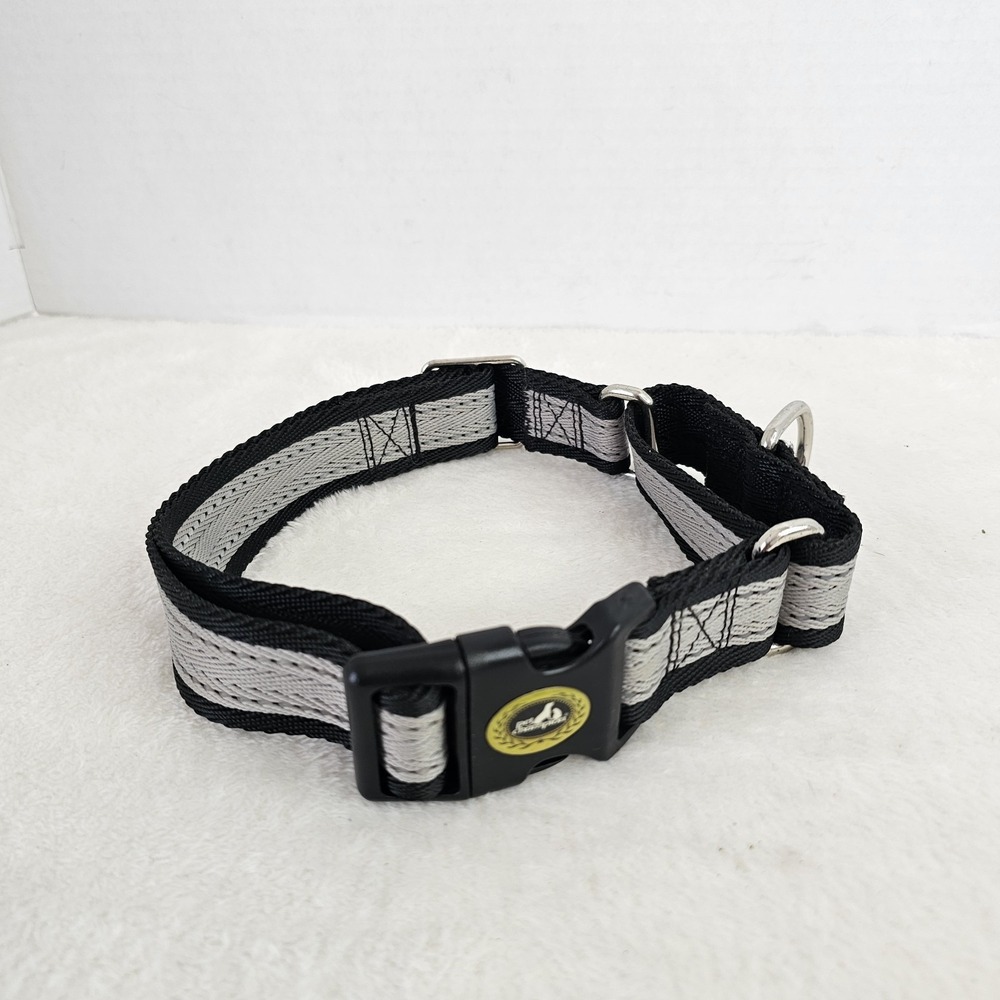 Pet Champion Black Gray Dog Training Collar & Lead 22" Adjustable